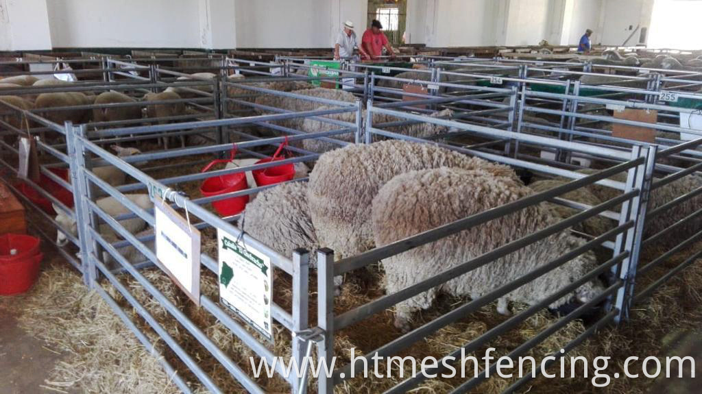Sheep & Goat Pens/Galvanised Round/ Oval 6 Bars With Vertical Square Tube Panels 3 meters (L) x 1.02 meters (H)